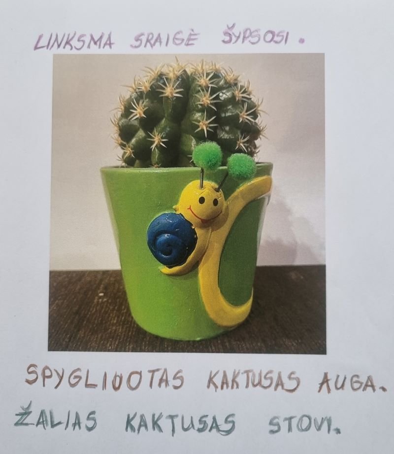 Kajus Kuprėnas, 3b Kl., Kauno R. Šlienavos Pagrindinė Mokykla - Mano ...